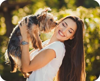 Pet park · Imagen de referencia oficial